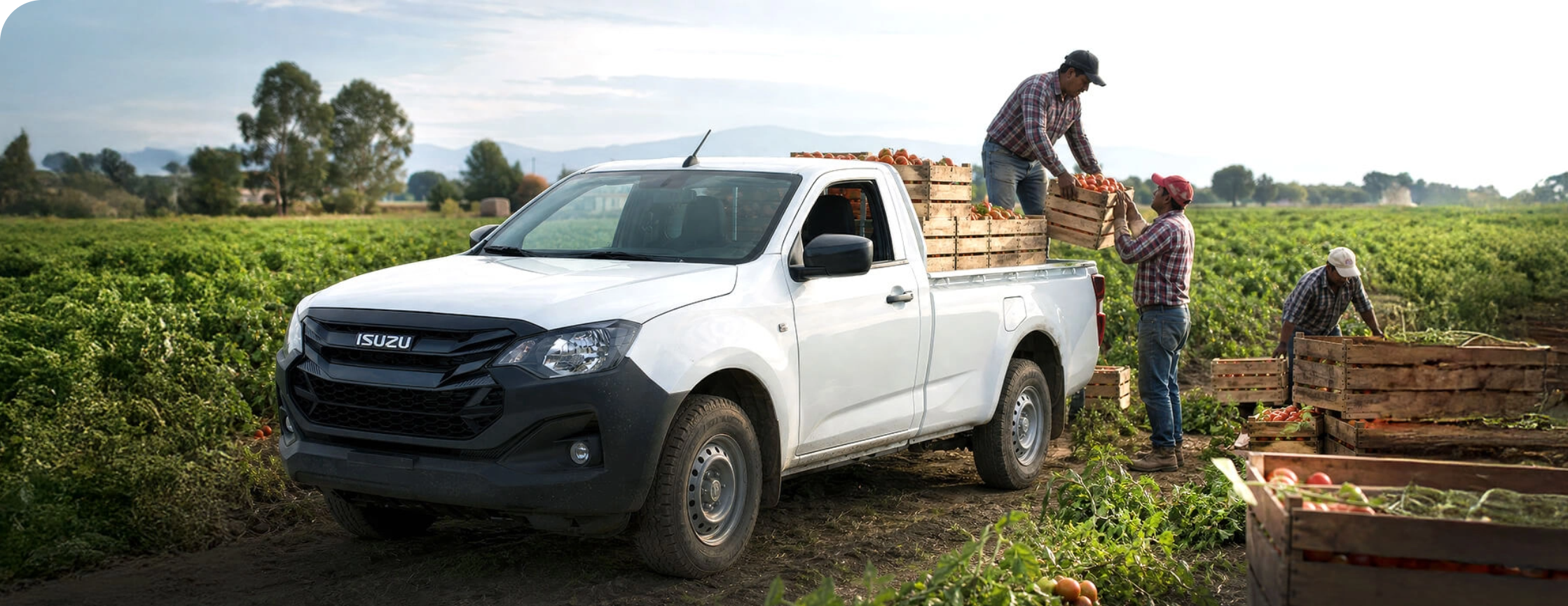 Capacidad de carga pick up