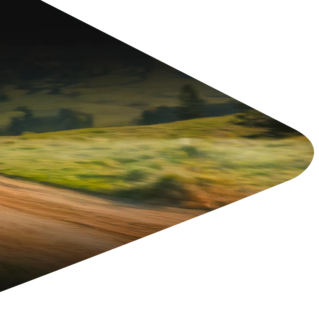 Form