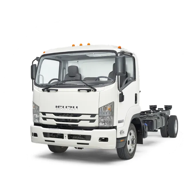 camion blanco